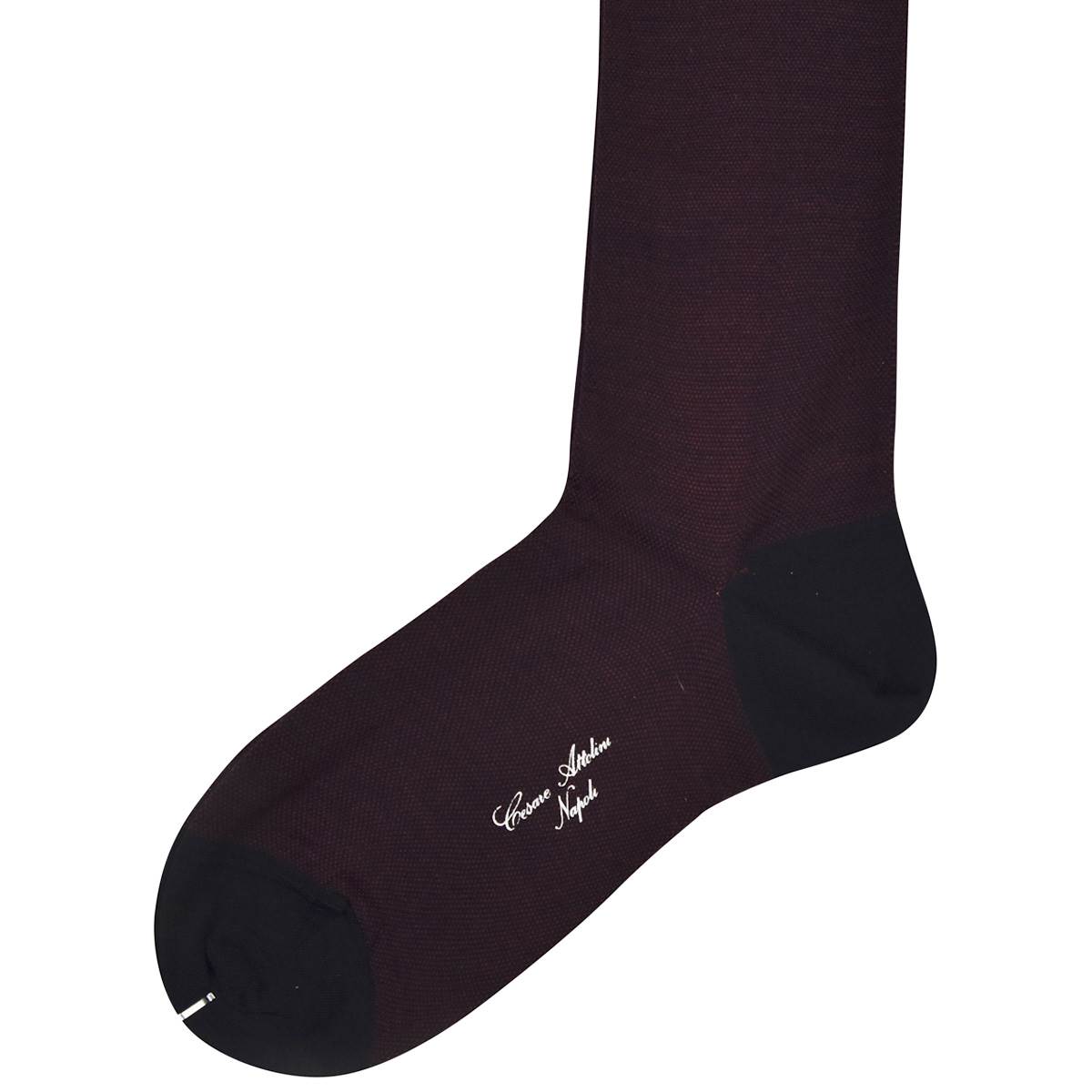 CESARE ATTOLINI Blue Burgundy Virgin Wool Socks