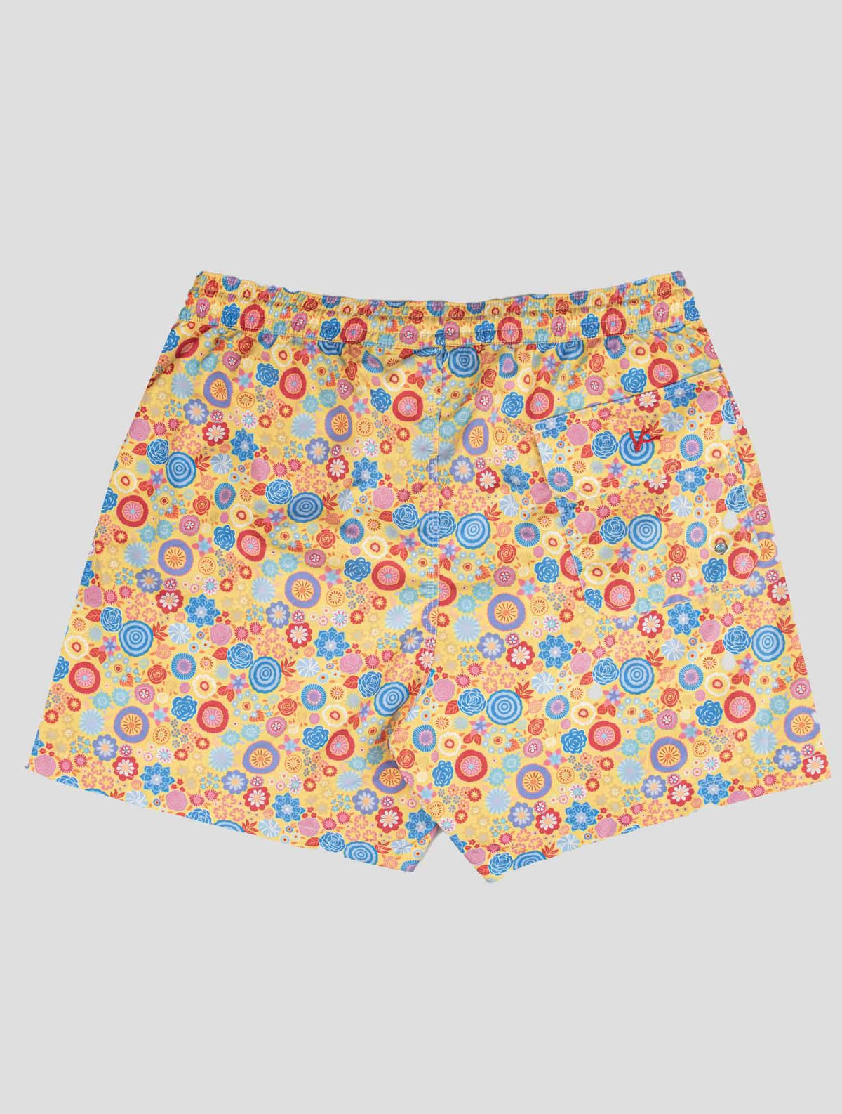 Isaia Isaia Multicolor Pl Swim Trunks Multicolor 001