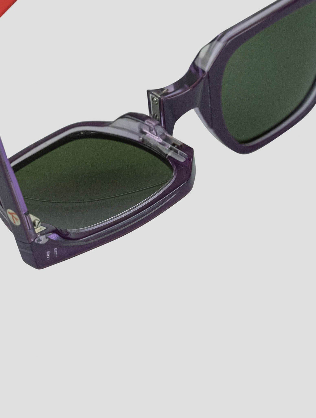 Isaia Purple Plastic Sunglasses