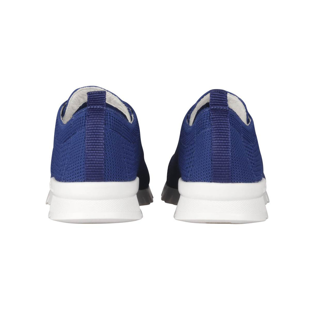 Kiton Blue Cotton Ea Sneakers FITS
