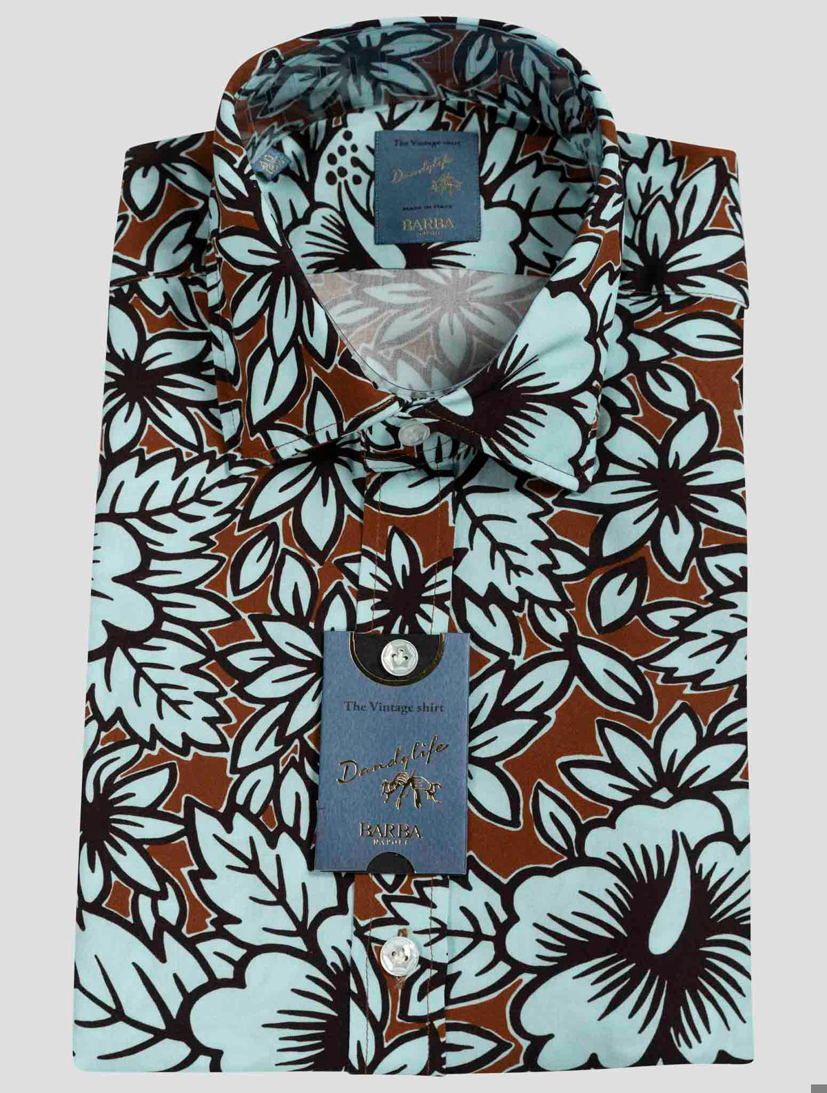 Barba Napoli Brown Light Blue Viscose Short Sleeve Shirt