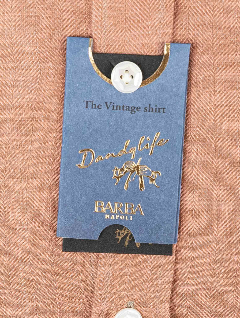 Barba Napoli Brown Linen Shirt