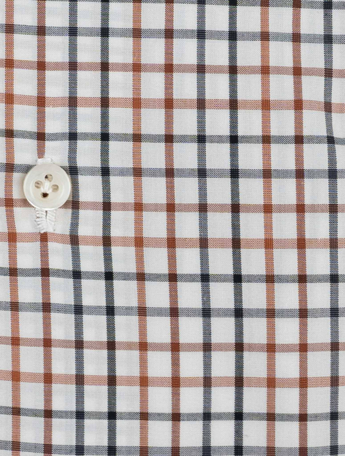 Isaia Multicolor Cotton Shirt