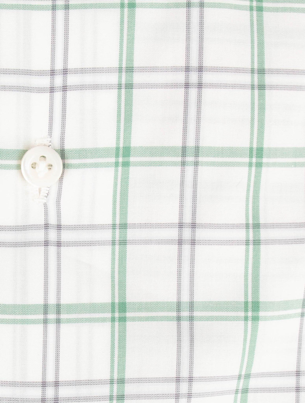 Isaia Multicolor Cotton Shirt