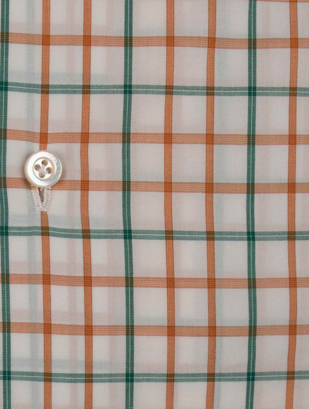 Isaia Multicolor Cotton Shirt
